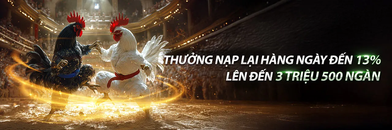 Đá gà Thomo trực tiếp với bình luận viên chuyên nghiệp