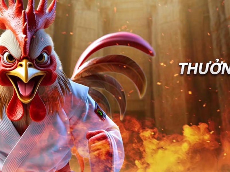 Ưu Đãi Đặc Biệt Theo Dịp Lễ/Sự Kiện NH88