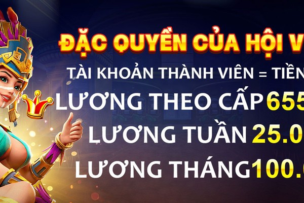 Đồ họa minh họa các cấp độ VIP của NH88